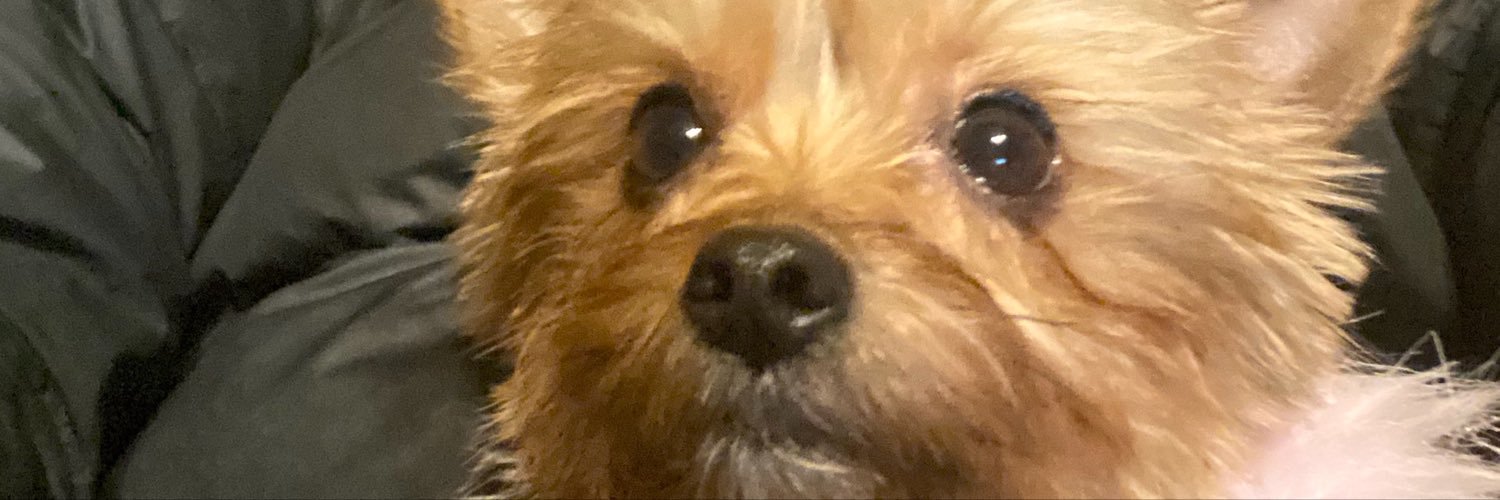 phillytwofresh's profile banner image
