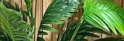 Jennifer Bollido banner