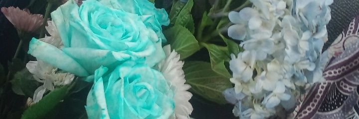 casy banner
