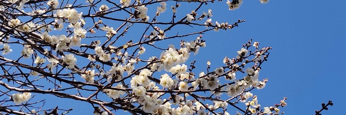 医ケア児☻tomo banner