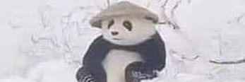 PandaButt_AD's profile banner image