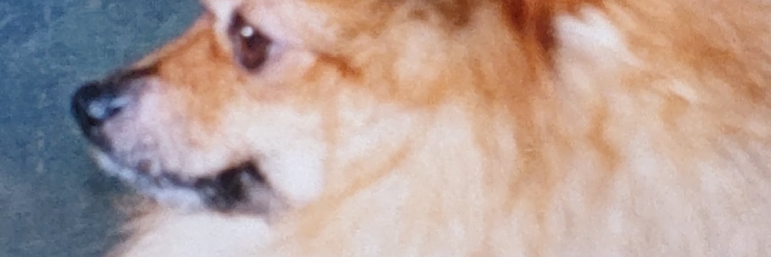 IncentiveViolin's profile banner image