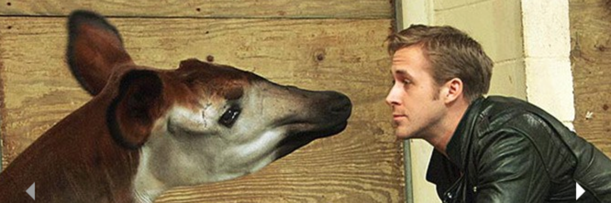 Laurandr_420's profile banner image