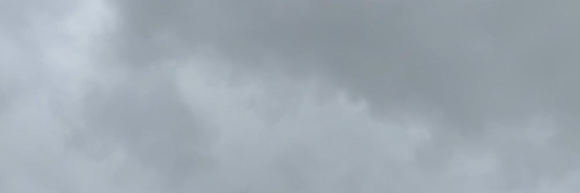 cai0_bee's profile banner image