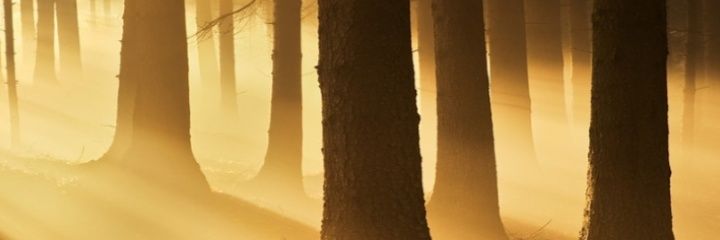 David_oder_so_'s profile banner image