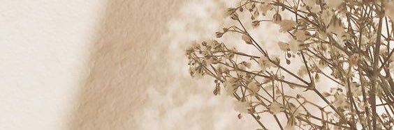 itsshannonlong_'s profile banner image
