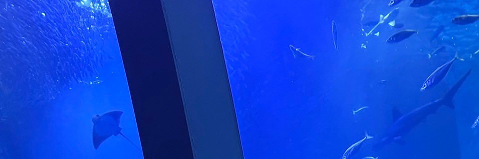 tieudgood's profile banner image