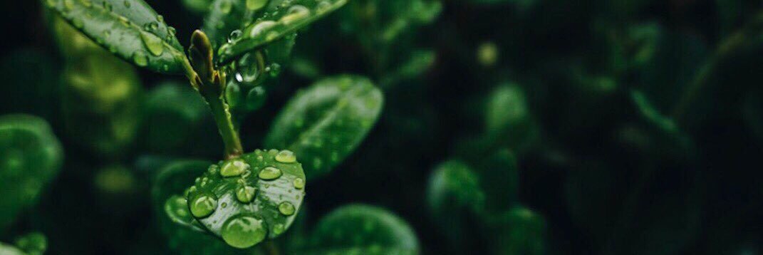 optimKRISTIc's profile banner image