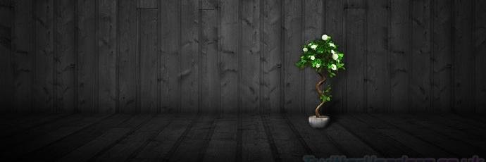 reducepollution's profile banner image