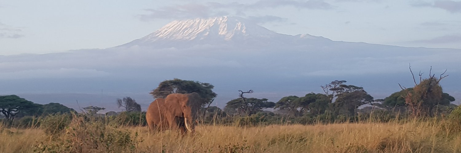 William Nevin banner