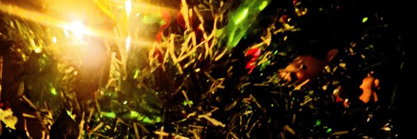 paul_bindweed Profile Banner