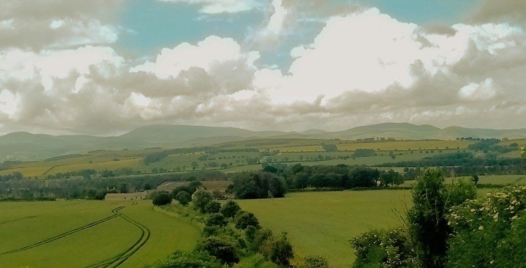 paul bindweed the sequal 🌳 banner