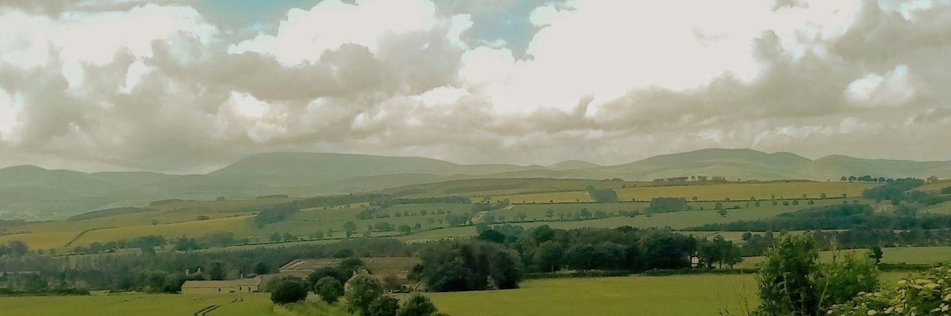 paul_bindweed's profile banner image