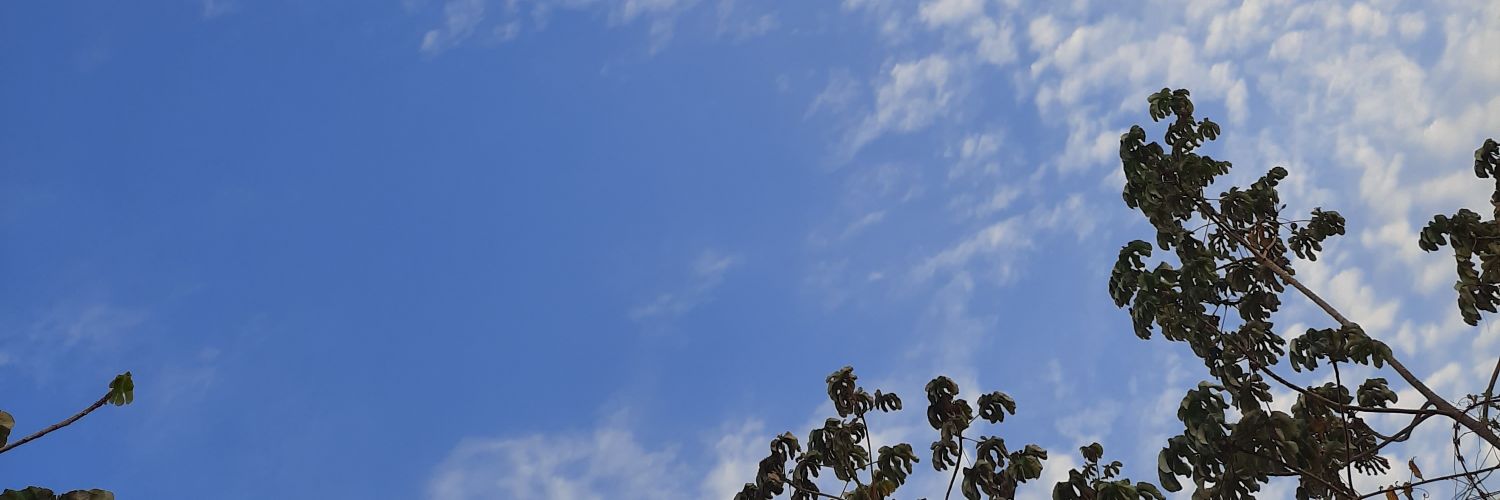 MargieQkt's profile banner image