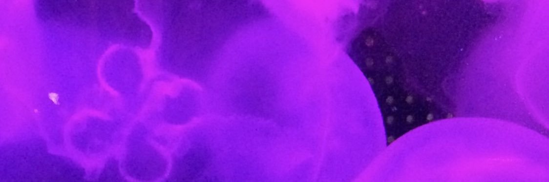 Gravit0112's profile banner image