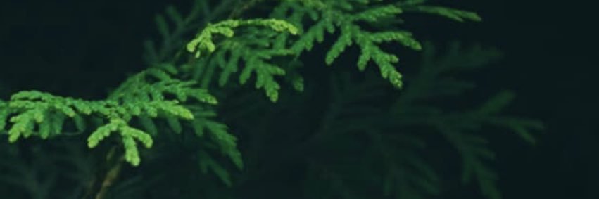 GMdtoy's profile banner image