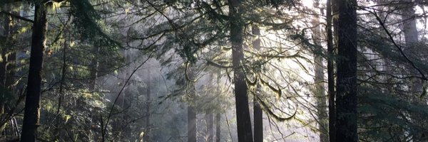 glossypoppy Profile Banner
