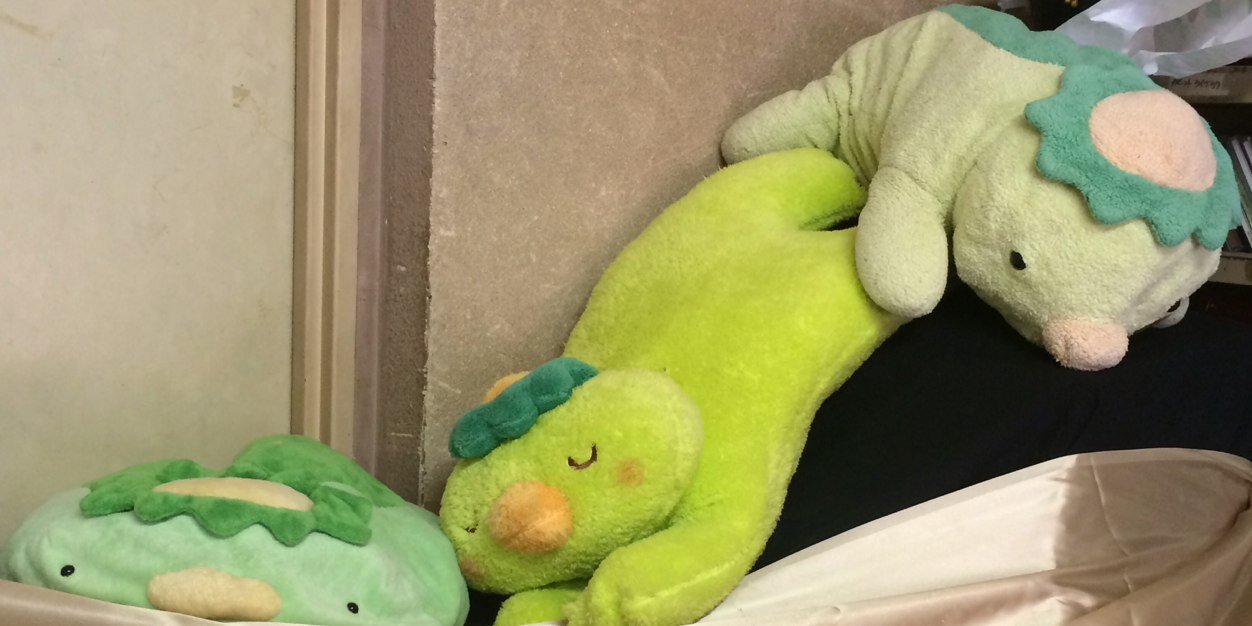 kappa_chorus's profile banner image