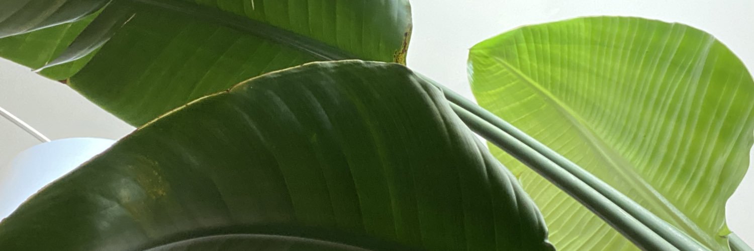 Plant Mutha banner