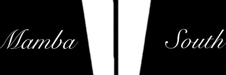 TeamMambaSouth's profile banner image