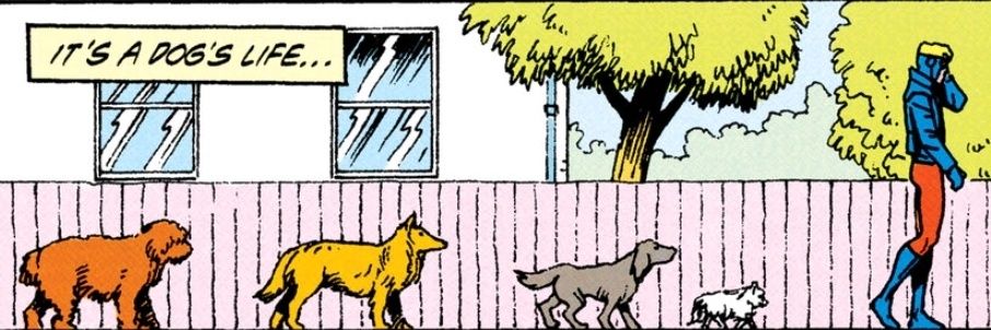 Transfem Buddy Baker's banner