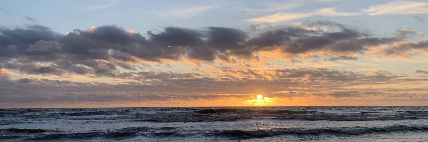 soffialett's profile banner image