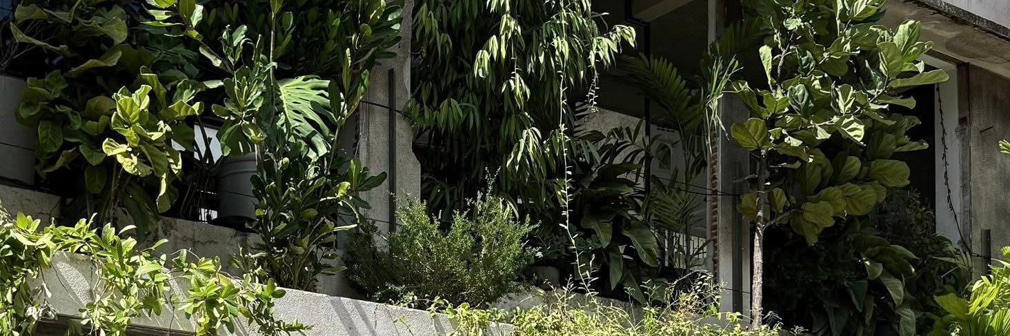 Mickey4357's profile banner image