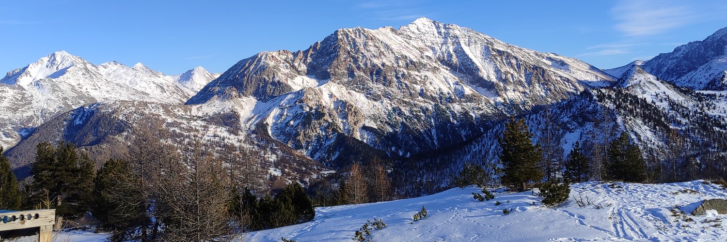 Wuedro's Frau banner