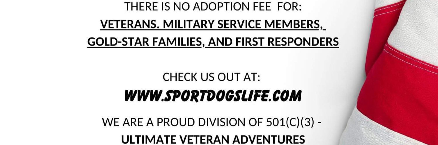 SportDogsLife's profile banner image