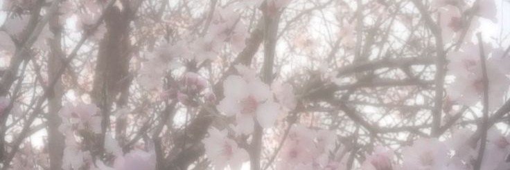 latte_bowx's profile banner image