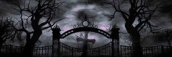 NEFNELFUEGO's profile banner image