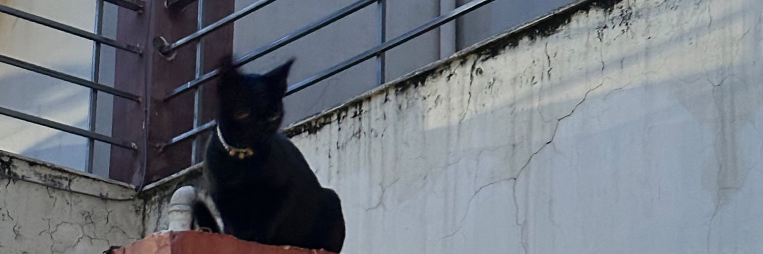 itradefor's profile banner image
