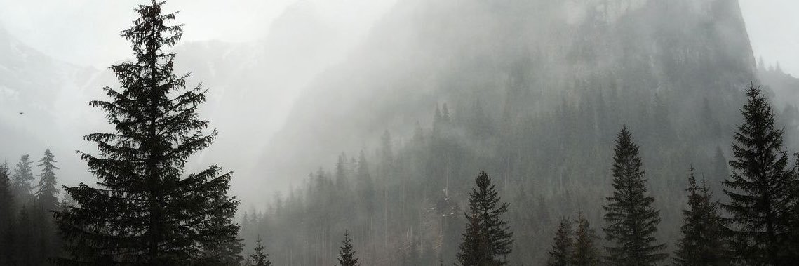 cclaradelune's profile banner image