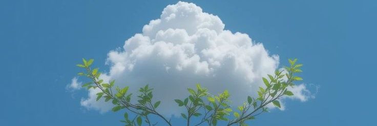 hlmsptwt's profile banner image