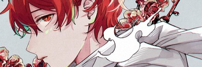 sofia's banner