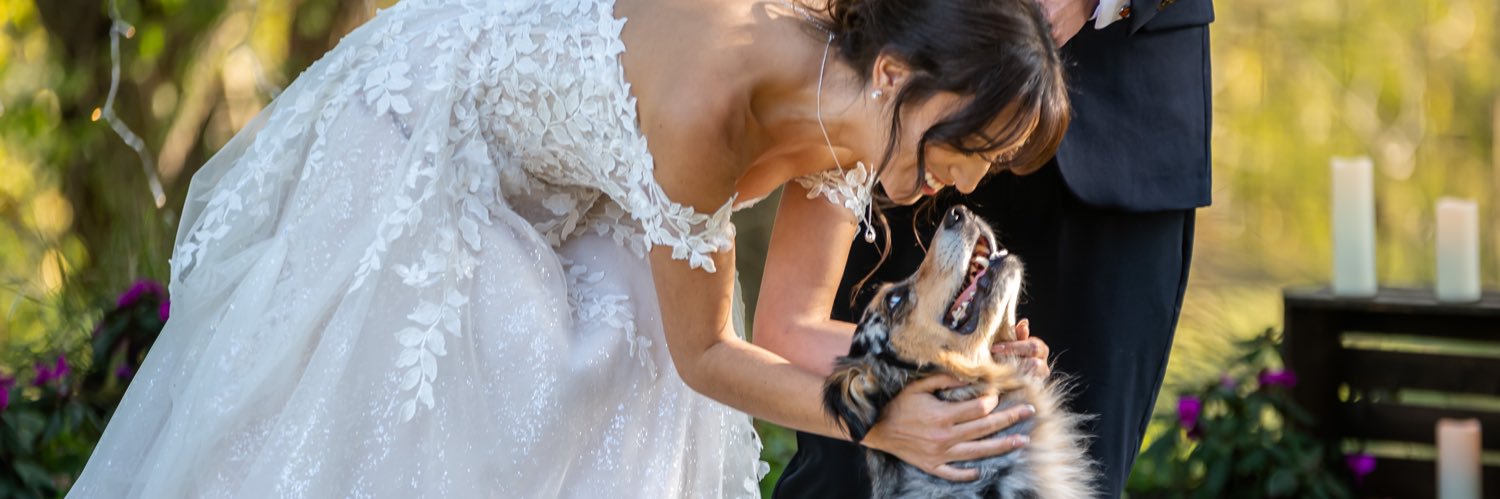 NicoleContrer's profile banner image