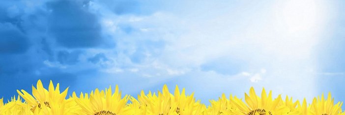 KimberlyD76012's profile banner image