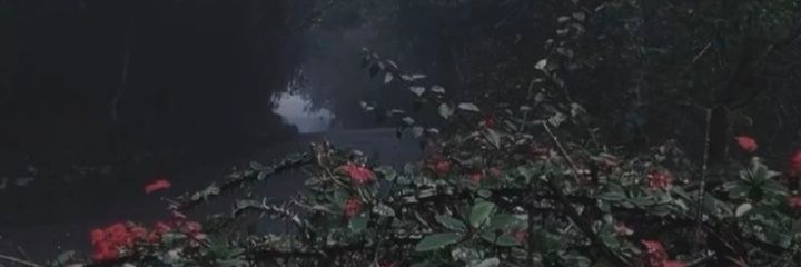 EternalInk33352's profile banner image