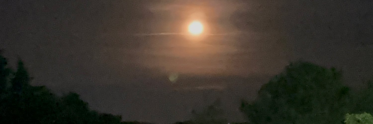 NandaVox 🥂 banner