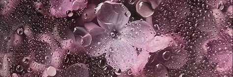 Diana_Ma's banner