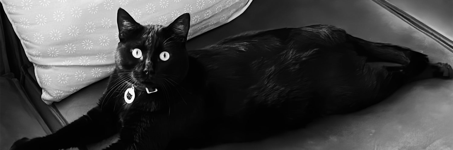 hosafperisi's profile banner image