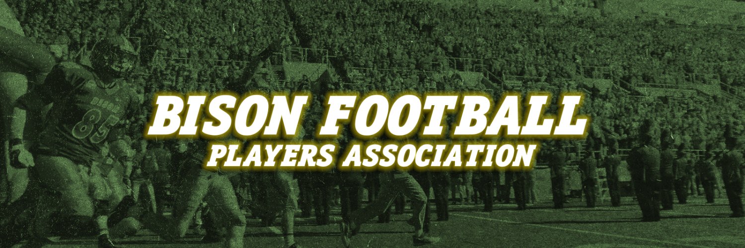 NDSUBFPA's profile banner image