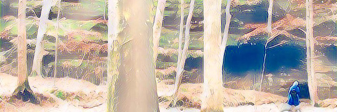 FreerangeLES's profile banner image