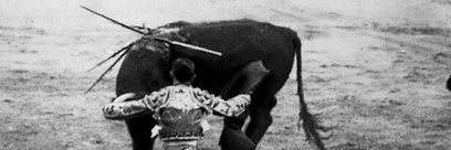 elMulillero's profile banner image