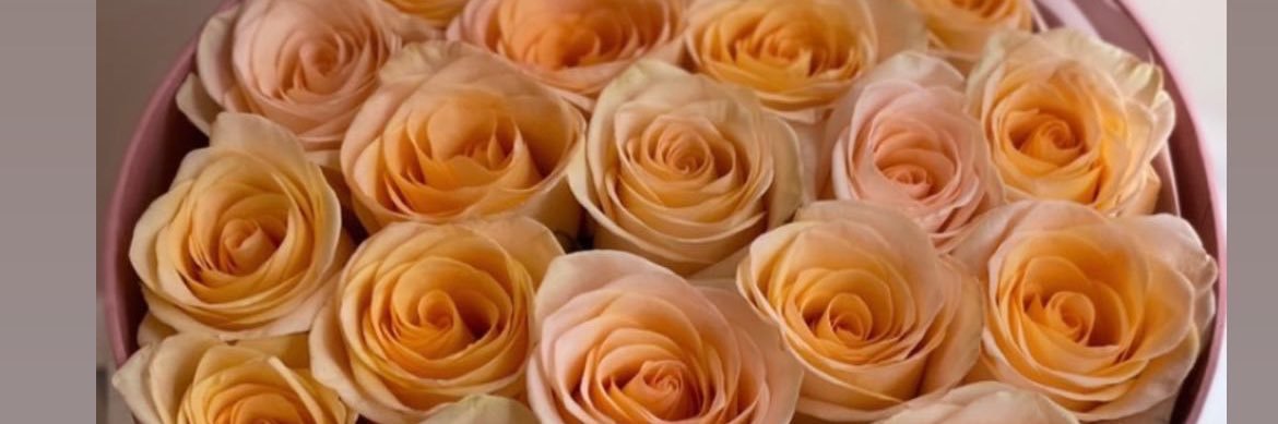 Ljailene_'s profile banner image