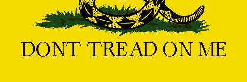 Cejas Libertarias banner