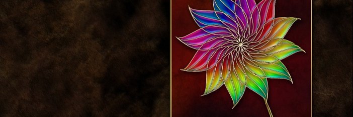 Ashley Suresh banner
