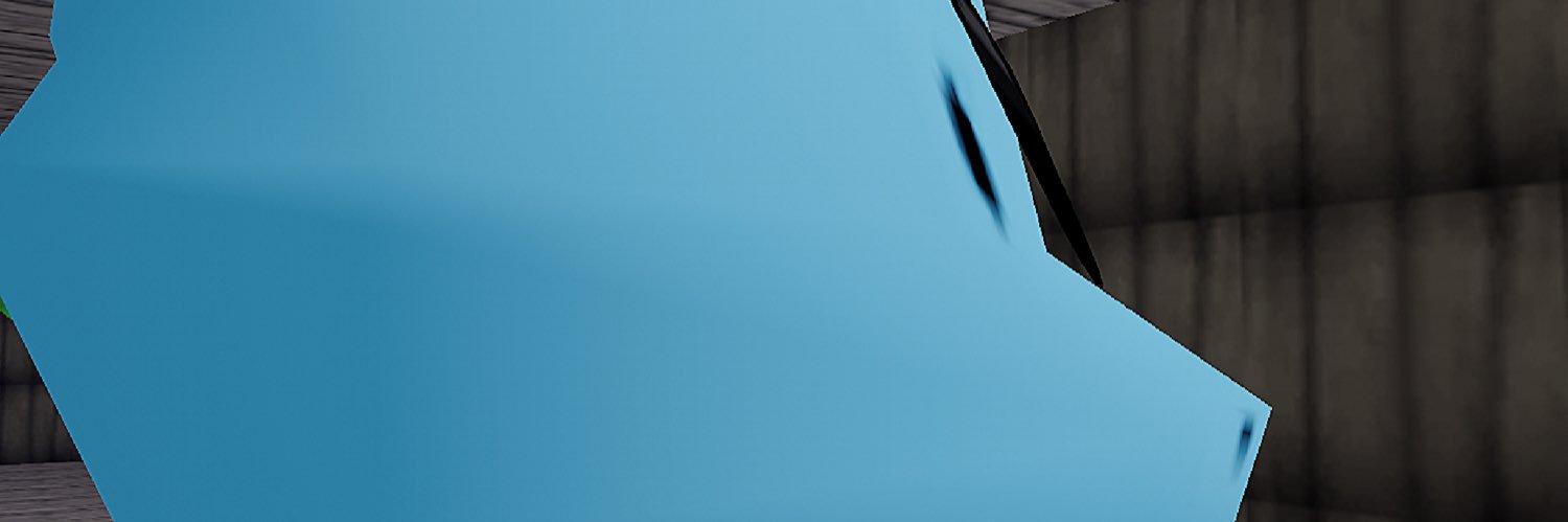 Duncan Dolphin (totally real) banner