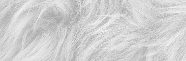 ♱ banner