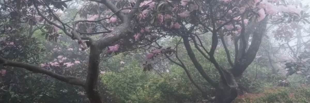 v0dkadi3t's profile banner image